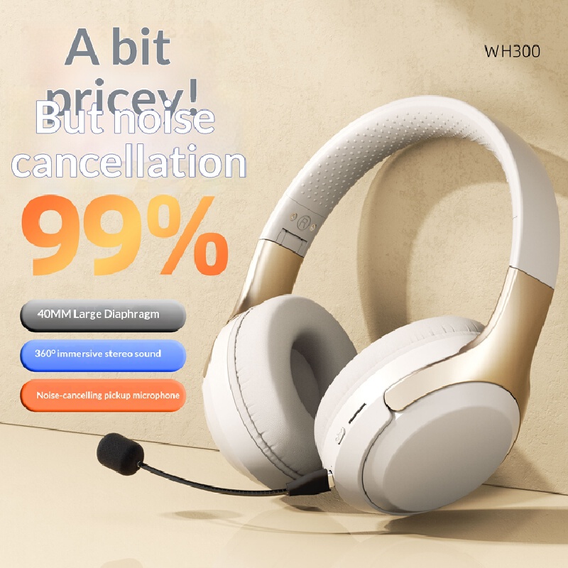 Over Ear Wireless Bluetooth He - Phone Accessories Officeworks ulasan dan harga